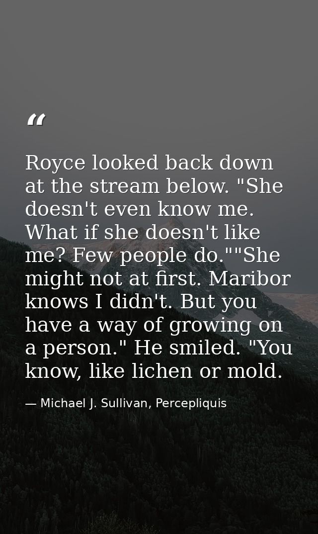 Royce looked back down at the stream below. "She doesn't even know me. What if she doesn't like me? Few people do.""She  — Michael J. Sullivan, Percepliquis