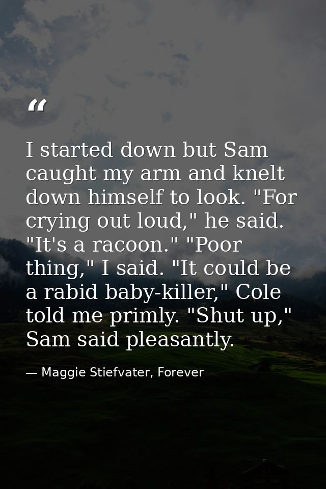 I started down but Sam caught my arm and knelt down himself to look. "For crying out loud," he said. "It's a racoon." "P — Maggie Stiefvater, Forever
