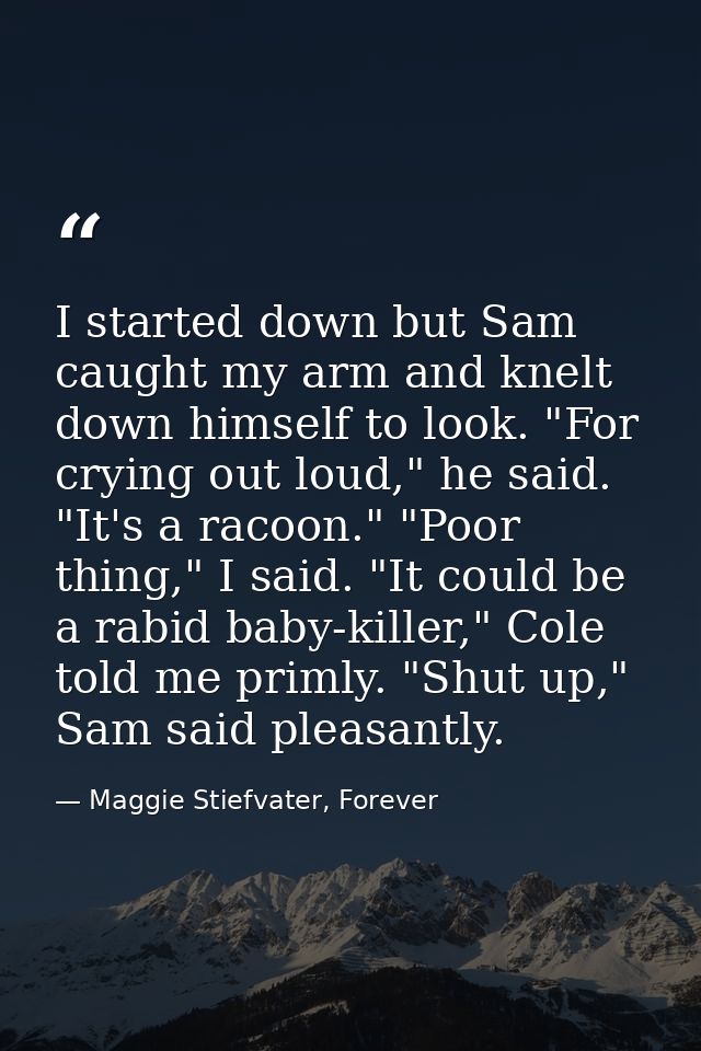 I started down but Sam caught my arm and knelt down himself to look. "For crying out loud," he said. "It's a racoon." "P — Maggie Stiefvater, Forever