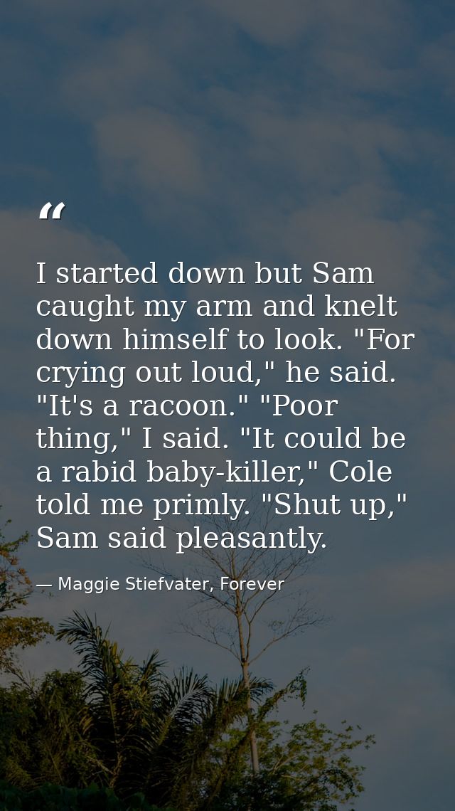I started down but Sam caught my arm and knelt down himself to look. "For crying out loud," he said. "It's a racoon." "P — Maggie Stiefvater, Forever
