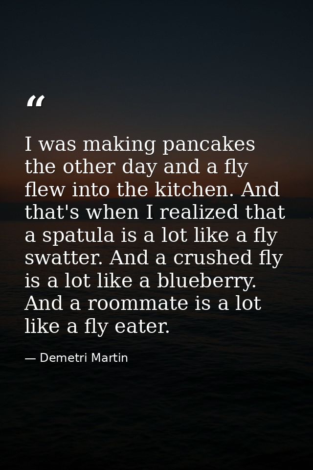 I was making pancakes the other day and a fly flew into the kitchen. And that's when I realized that a spatula is a lot  — Demetri Martin