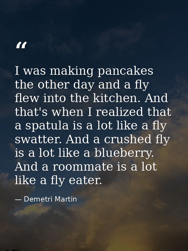 I was making pancakes the other day and a fly flew into the kitchen. And that's when I realized that a spatula is a lot  — Demetri Martin