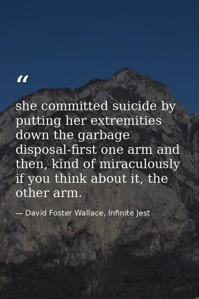 she committed suicide by putting her extremities down the garbage disposal-first one arm and then, kind of miraculously  — David Foster Wallace, Infinite Jest
