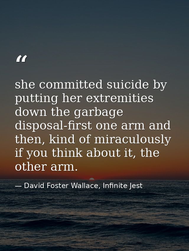 she committed suicide by putting her extremities down the garbage disposal-first one arm and then, kind of miraculously  — David Foster Wallace, Infinite Jest