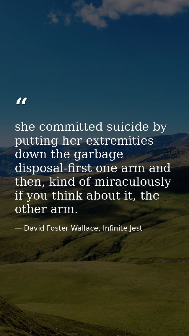 she committed suicide by putting her extremities down the garbage disposal-first one arm and then, kind of miraculously  — David Foster Wallace, Infinite Jest
