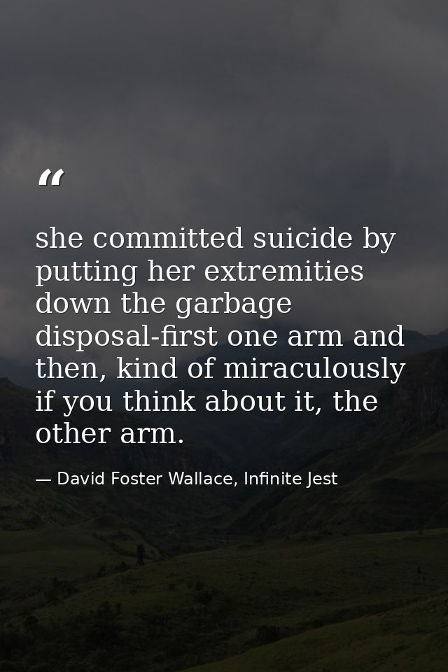 she committed suicide by putting her extremities down the garbage disposal-first one arm and then, kind of miraculously  — David Foster Wallace, Infinite Jest