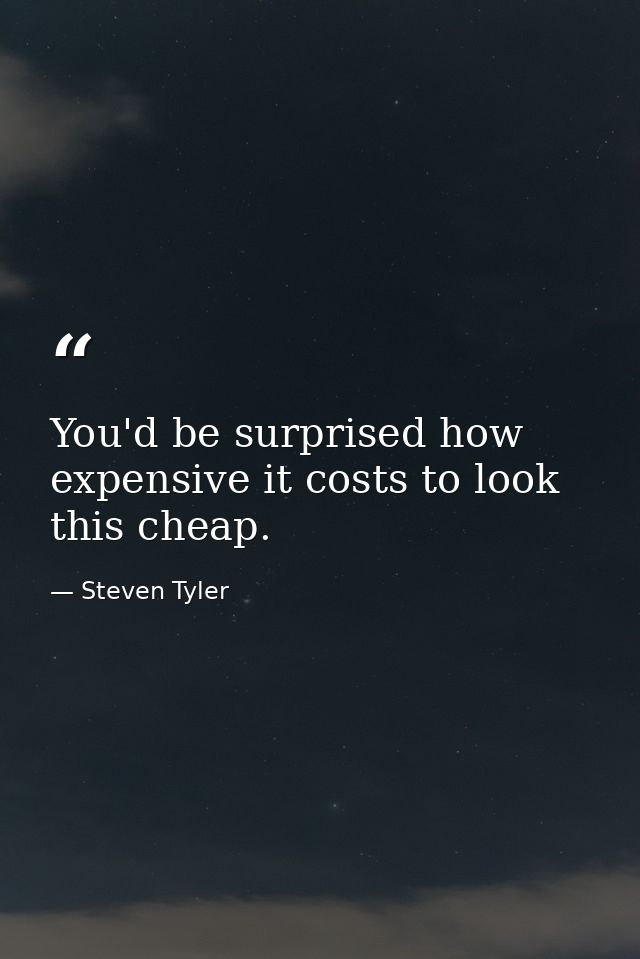 You'd be surprised how expensive it costs to look this cheap. — Steven Tyler