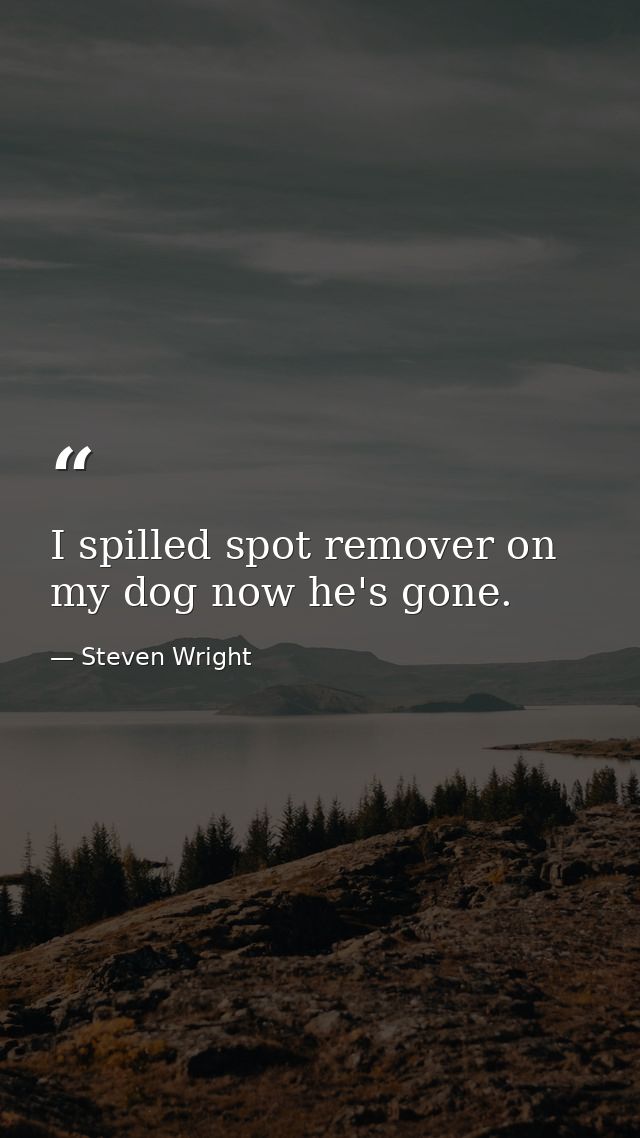 I spilled spot remover on my dog now he's gone. — Steven Wright