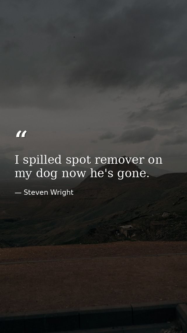 I spilled spot remover on my dog now he's gone. — Steven Wright