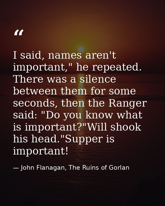 I said, names aren't important," he repeated. There was a silence between them for some seconds, then the Ranger said: " — John Flanagan, The Ruins of Gorlan