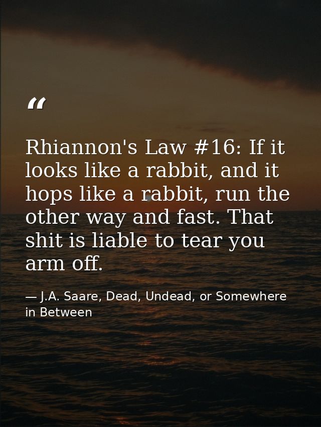 Rhiannon's Law #16: If it looks like a rabbit, and it hops like a rabbit, run the other way and fast. That shit is liabl — J.A. Saare, Dead, Undead, or Somewhere in Between