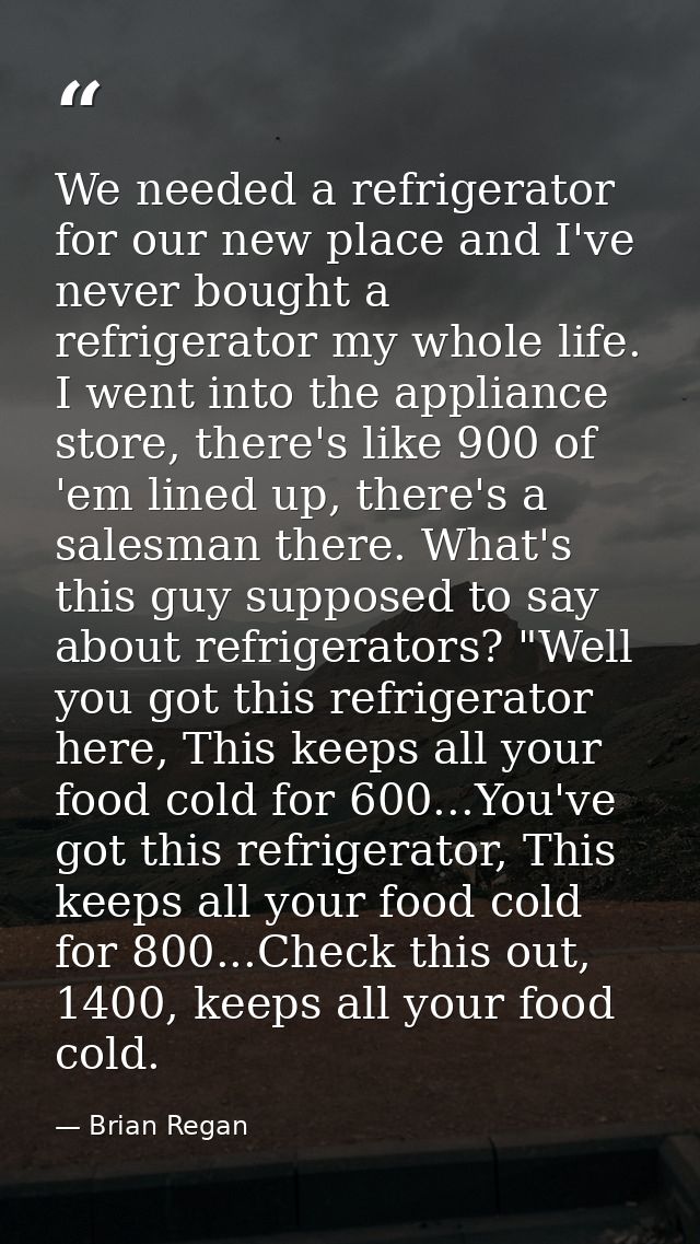 We needed a refrigerator for our new place and I've never bought a refrigerator my whole life. I went into the appliance — Brian Regan