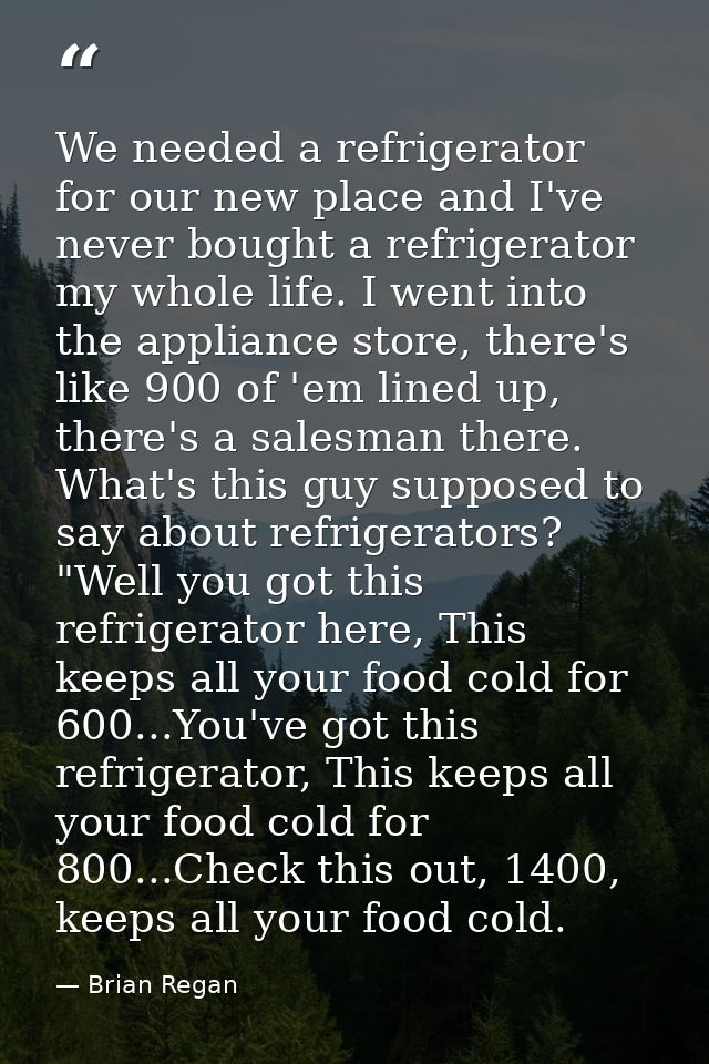We needed a refrigerator for our new place and I've never bought a refrigerator my whole life. I went into the appliance — Brian Regan