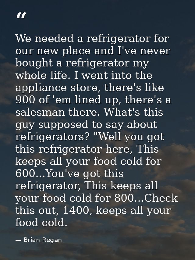 We needed a refrigerator for our new place and I've never bought a refrigerator my whole life. I went into the appliance — Brian Regan