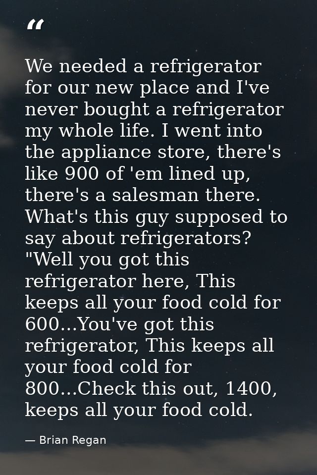 We needed a refrigerator for our new place and I've never bought a refrigerator my whole life. I went into the appliance — Brian Regan