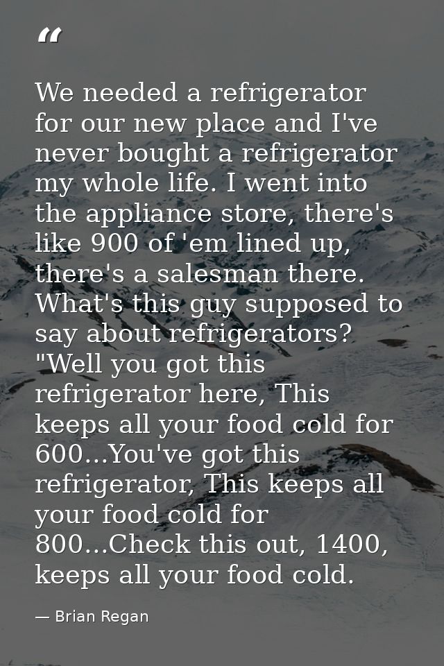 We needed a refrigerator for our new place and I've never bought a refrigerator my whole life. I went into the appliance — Brian Regan