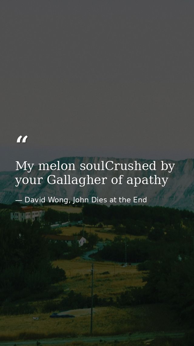 My melon soulCrushed by your Gallagher of apathy — David Wong, John Dies at the End