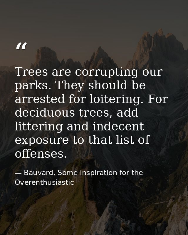 Trees are corrupting our parks. They should be arrested for loitering. For deciduous trees, add littering and indecent e — Bauvard, Some Inspiration for the Overenthusiastic