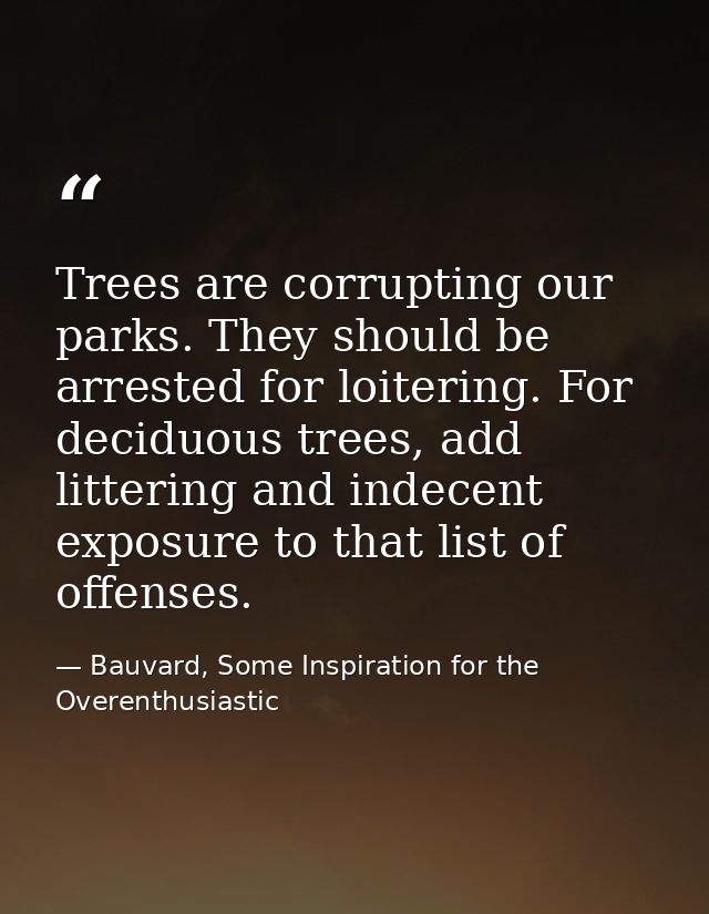 Trees are corrupting our parks. They should be arrested for loitering. For deciduous trees, add littering and indecent e — Bauvard, Some Inspiration for the Overenthusiastic