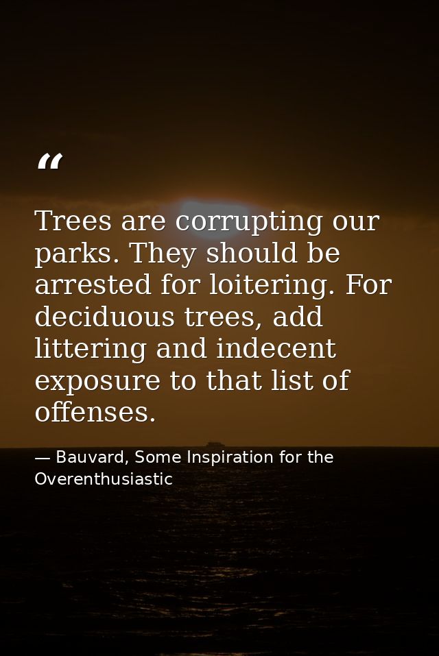 Trees are corrupting our parks. They should be arrested for loitering. For deciduous trees, add littering and indecent e — Bauvard, Some Inspiration for the Overenthusiastic