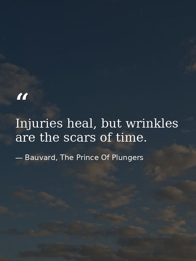 Injuries heal, but wrinkles are the scars of time. — Bauvard, The Prince Of Plungers