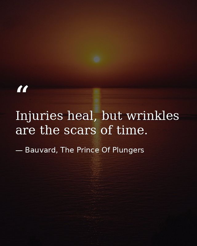 Injuries heal, but wrinkles are the scars of time. — Bauvard, The Prince Of Plungers