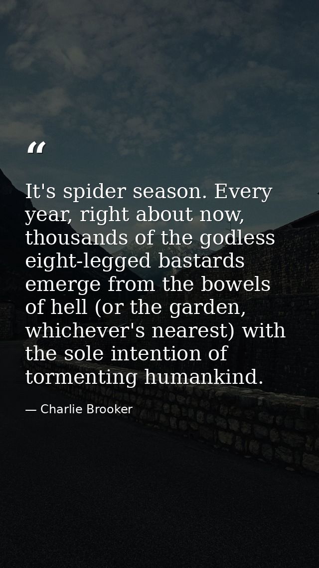 It's spider season. Every year, right about now, thousands of the godless eight-legged bastards emerge from the bowels o — Charlie Brooker