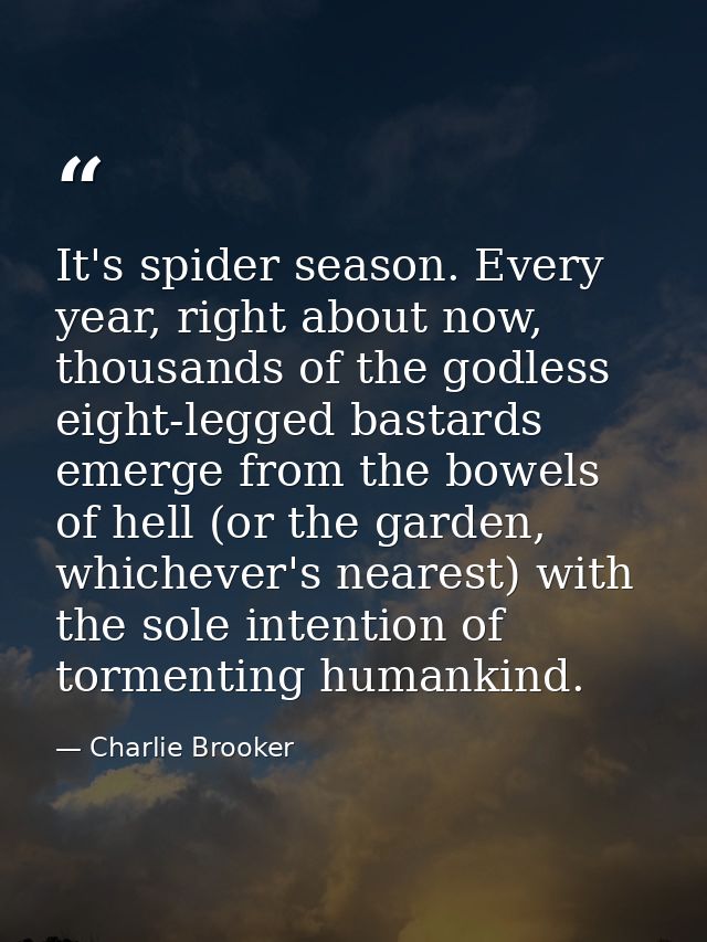 It's spider season. Every year, right about now, thousands of the godless eight-legged bastards emerge from the bowels o — Charlie Brooker