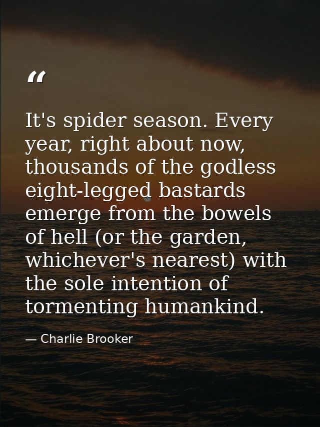 It's spider season. Every year, right about now, thousands of the godless eight-legged bastards emerge from the bowels o — Charlie Brooker