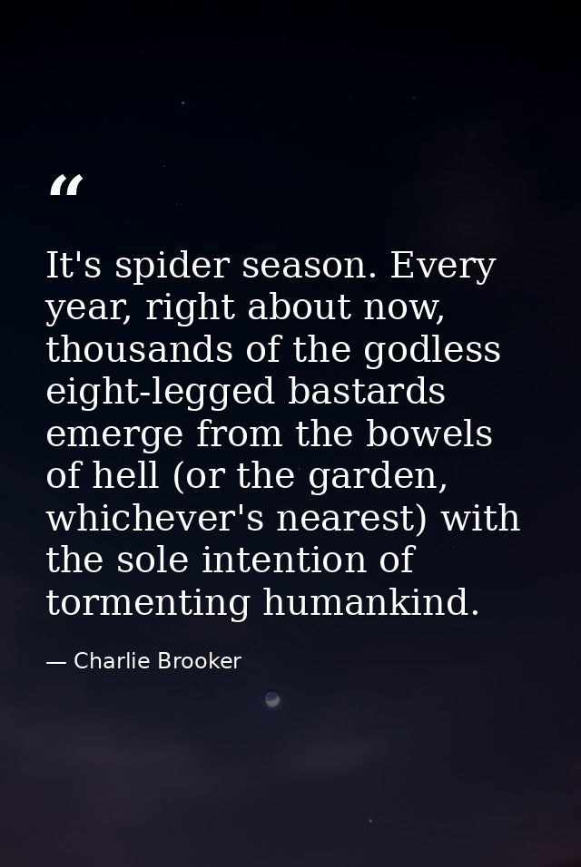 It's spider season. Every year, right about now, thousands of the godless eight-legged bastards emerge from the bowels o — Charlie Brooker