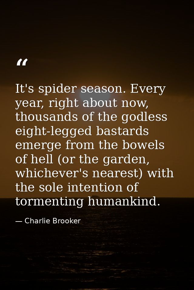 It's spider season. Every year, right about now, thousands of the godless eight-legged bastards emerge from the bowels o — Charlie Brooker