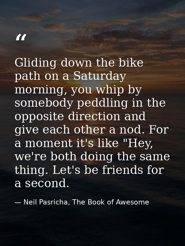 Gliding down the bike path on a Saturday morning, you whip by somebody peddling in the opposite direction and give each  — Neil Pasricha, The Book of Awesome