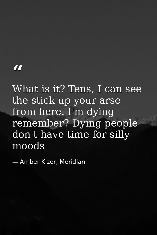 What is it? Tens, I can see the stick up your arse from here. I'm dying remember? Dying people don't have time for silly — Amber Kizer, Meridian