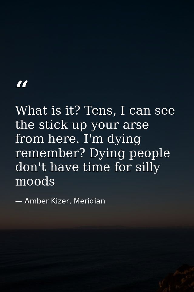 What is it? Tens, I can see the stick up your arse from here. I'm dying remember? Dying people don't have time for silly — Amber Kizer, Meridian