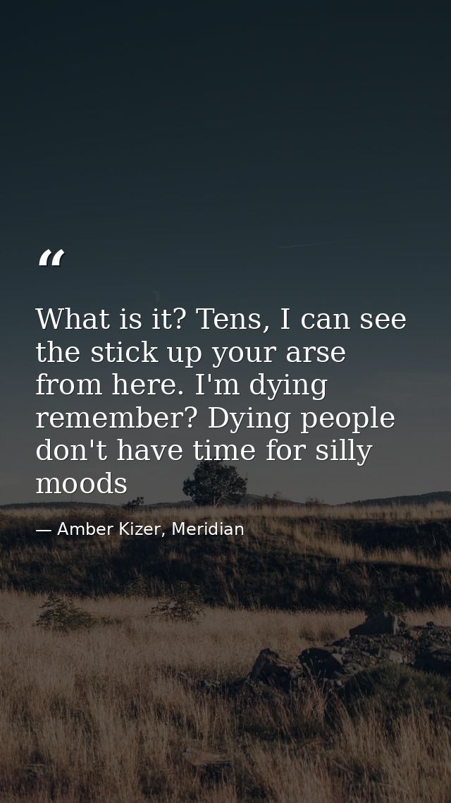 What is it? Tens, I can see the stick up your arse from here. I'm dying remember? Dying people don't have time for silly — Amber Kizer, Meridian