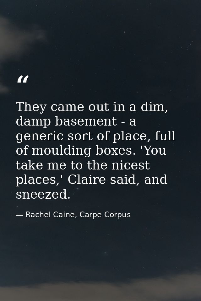 They came out in a dim, damp basement - a generic sort of place, full of moulding boxes. 'You take me to the nicest plac — Rachel Caine, Carpe Corpus