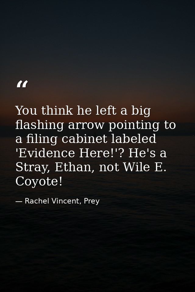 You think he left a big flashing arrow pointing to a filing cabinet labeled 'Evidence Here!'? He's a Stray, Ethan, not W — Rachel Vincent, Prey
