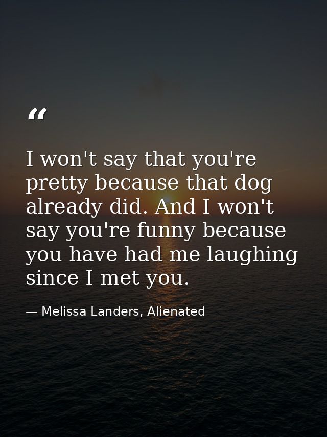 I won't say that you're pretty because that dog already did. And I won't say you're funny because you have had me laughi — Melissa Landers, Alienated