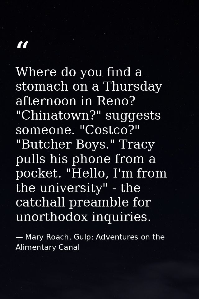 Where do you find a stomach on a Thursday afternoon in Reno? "Chinatown?" suggests someone. "Costco?" "Butcher Boys." Tr — Mary Roach, Gulp: Adventures on the Alimentary Canal
