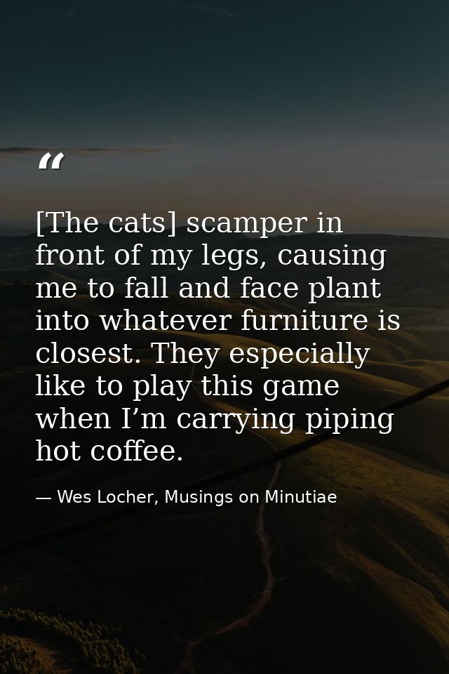 [The cats] scamper in front of my legs, causing me to fall and face plant into whatever furniture is closest. They espec — Wes Locher, Musings on Minutiae