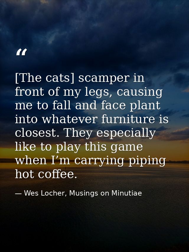 [The cats] scamper in front of my legs, causing me to fall and face plant into whatever furniture is closest. They espec — Wes Locher, Musings on Minutiae