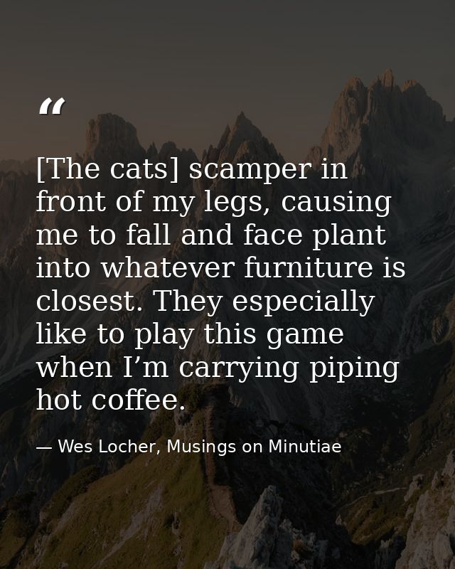 [The cats] scamper in front of my legs, causing me to fall and face plant into whatever furniture is closest. They espec — Wes Locher, Musings on Minutiae