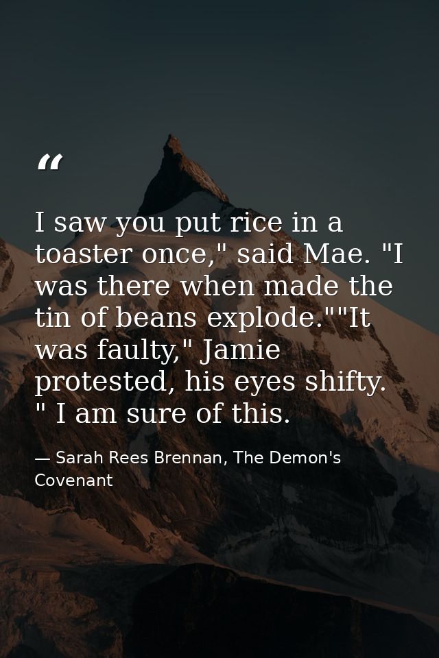 I saw you put rice in a toaster once," said Mae. "I was there when made the tin of beans explode.""It was faulty," Jamie — Sarah Rees Brennan, The Demon's Covenant