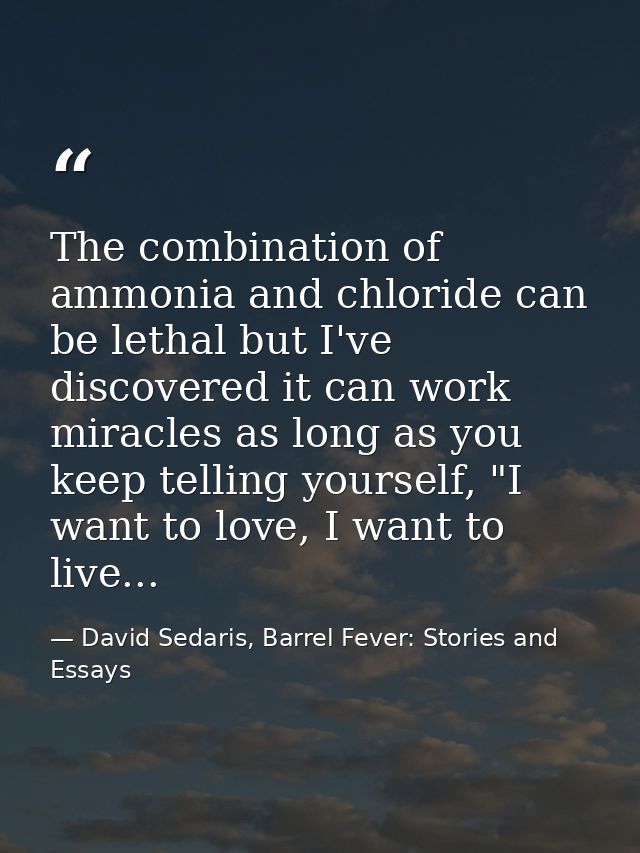 The combination of ammonia and chloride can be lethal but I've discovered it can work miracles as long as you keep telli — David Sedaris, Barrel Fever: Stories and Essays