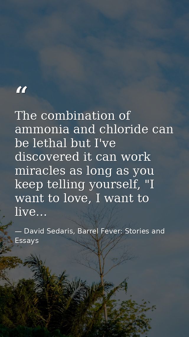 The combination of ammonia and chloride can be lethal but I've discovered it can work miracles as long as you keep telli — David Sedaris, Barrel Fever: Stories and Essays