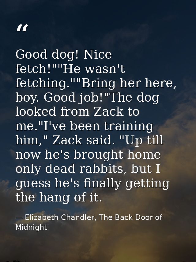 Good dog! Nice fetch!""He wasn't fetching.""Bring her here, boy. Good job!"The dog looked from Zack to me."I've been tra — Elizabeth Chandler, The Back Door of Midnight