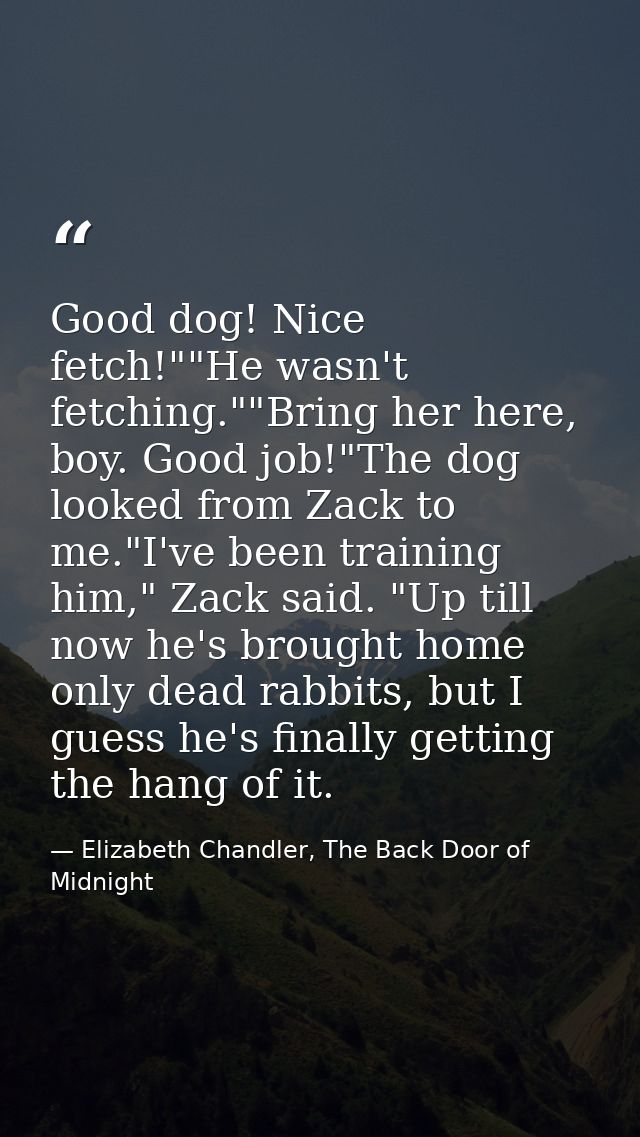 Good dog! Nice fetch!""He wasn't fetching.""Bring her here, boy. Good job!"The dog looked from Zack to me."I've been tra — Elizabeth Chandler, The Back Door of Midnight