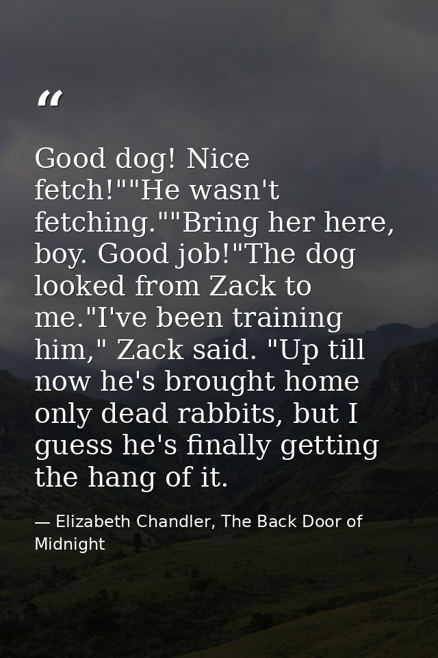 Good dog! Nice fetch!""He wasn't fetching.""Bring her here, boy. Good job!"The dog looked from Zack to me."I've been tra — Elizabeth Chandler, The Back Door of Midnight