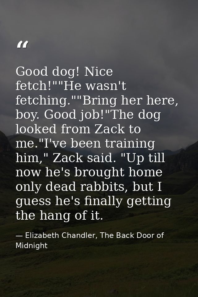 Good dog! Nice fetch!""He wasn't fetching.""Bring her here, boy. Good job!"The dog looked from Zack to me."I've been tra — Elizabeth Chandler, The Back Door of Midnight