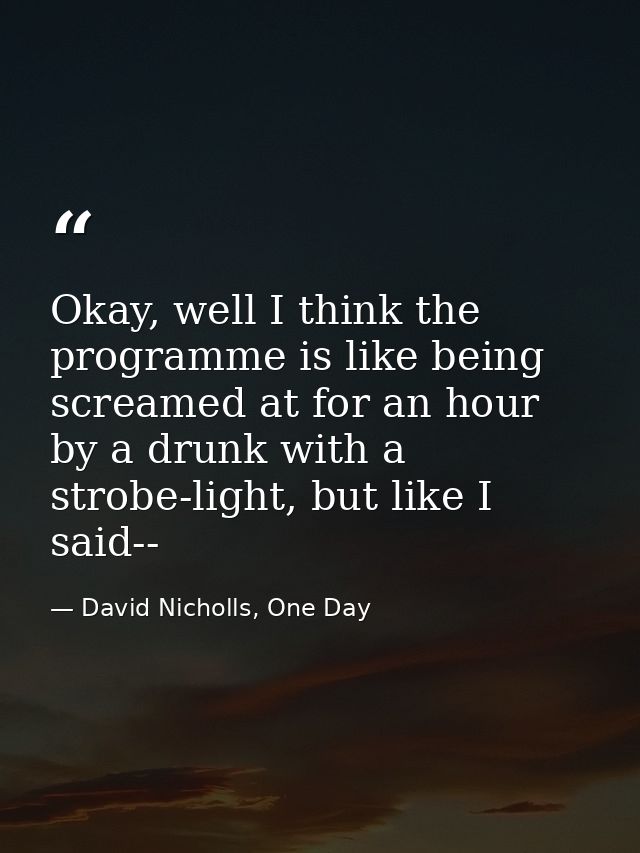 Okay, well I think the programme is like being screamed at for an hour by a drunk with a strobe-light, but like I said-- — David Nicholls, One Day